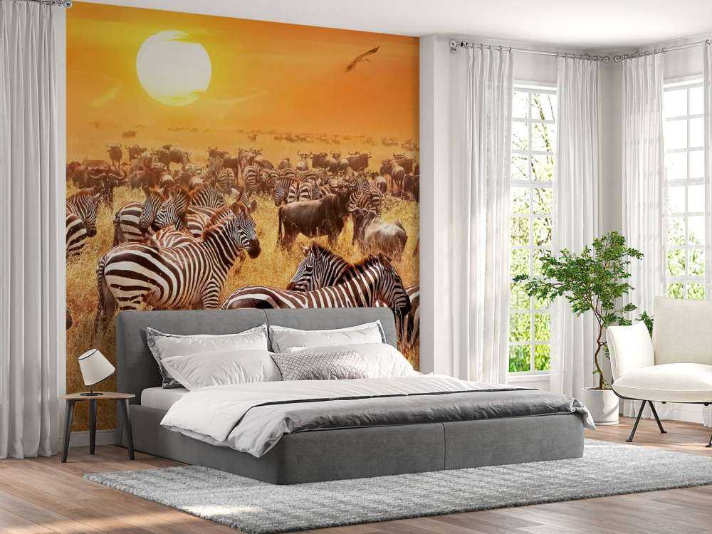 Savannensonne mit Zebras