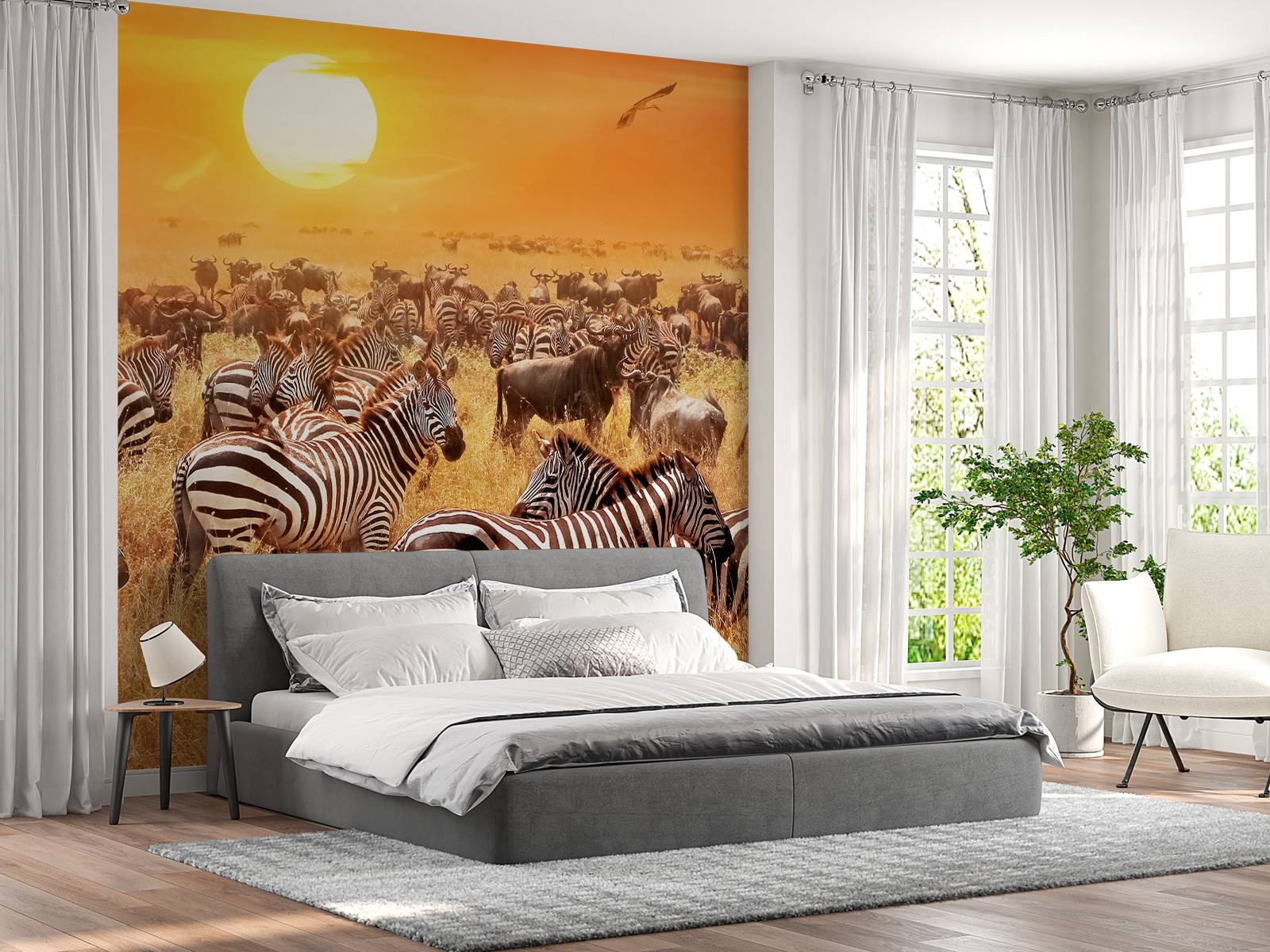 Savannensonne mit Zebras