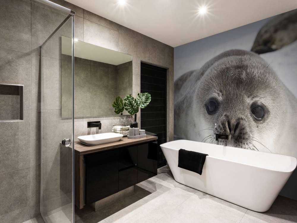 Seehund
