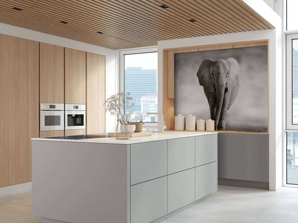 Schöner Elefant