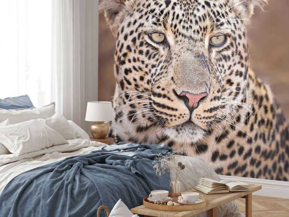Leopard Porträt