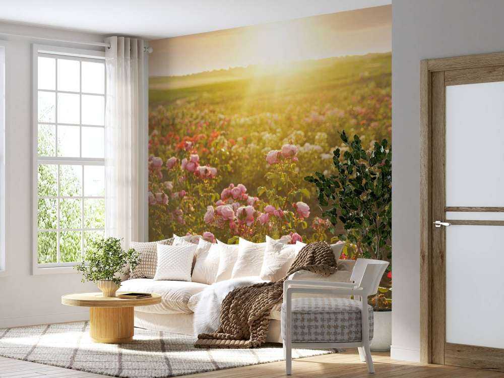 Feld voller Rosen