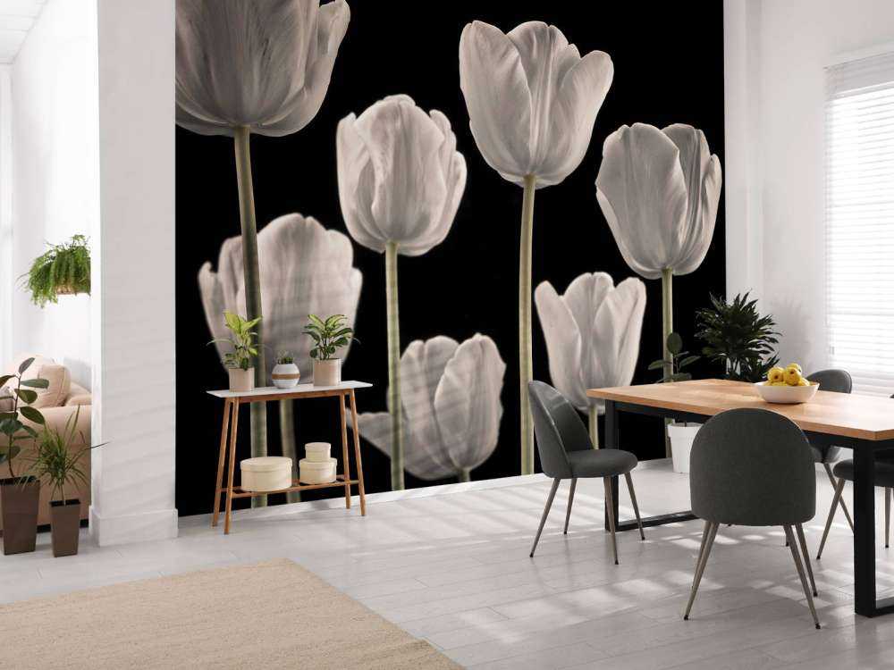 Verschiedene Tulpen