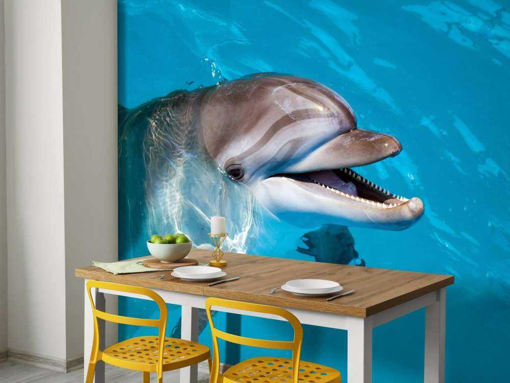 Freundlicher Delfin