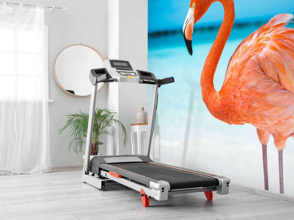 Tropischer Flamingo