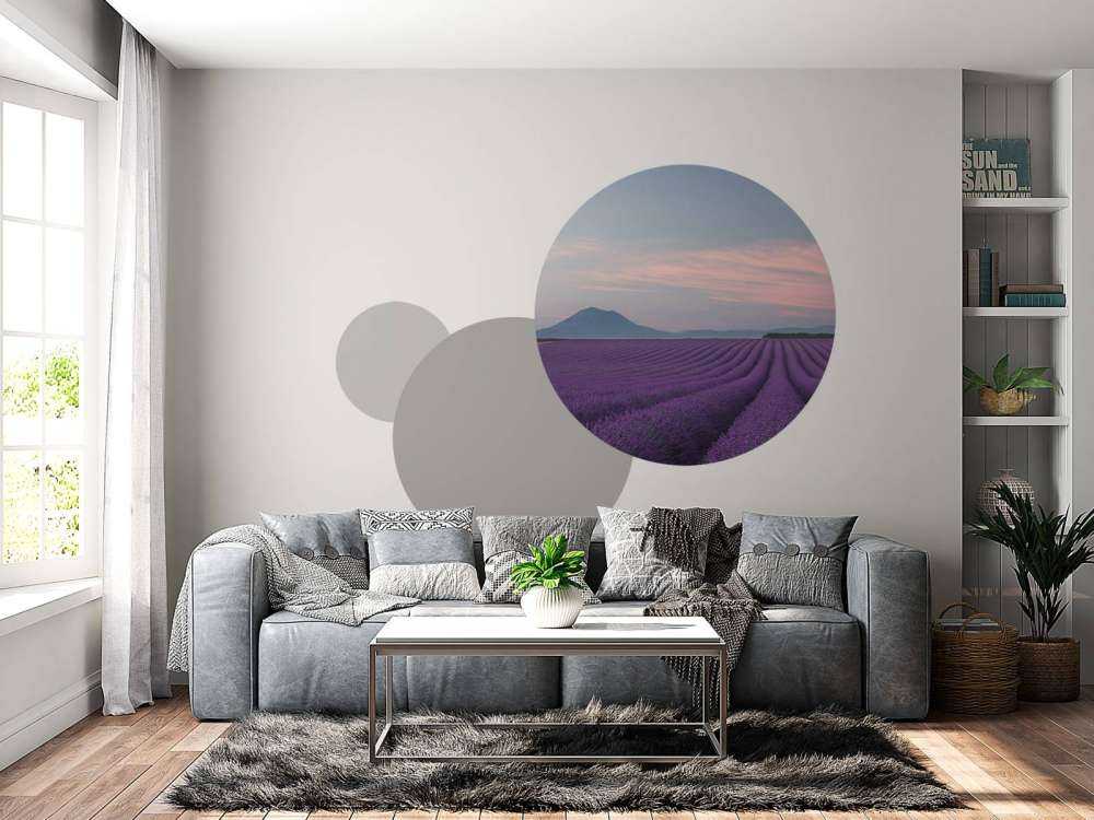 Lavender field