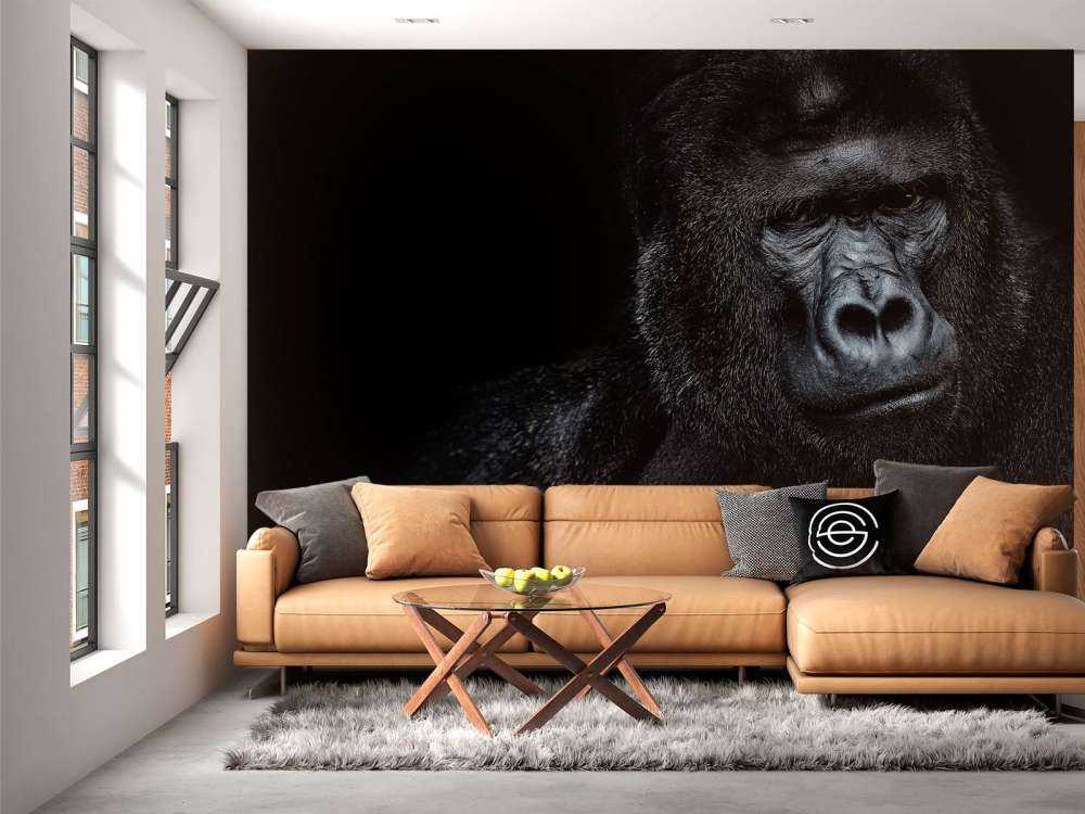 Gorilla