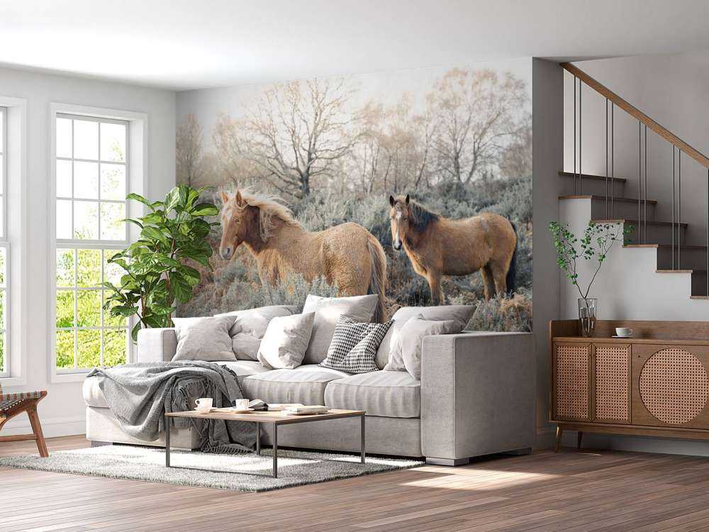 Wildpferde