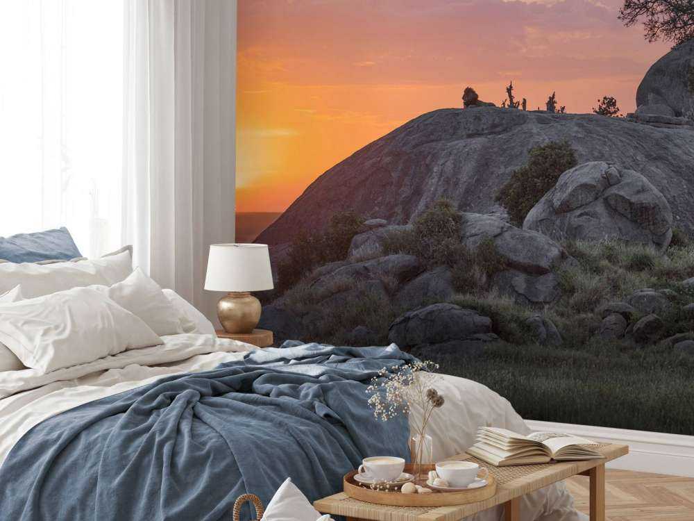 Sonnenuntergang über der Savanne