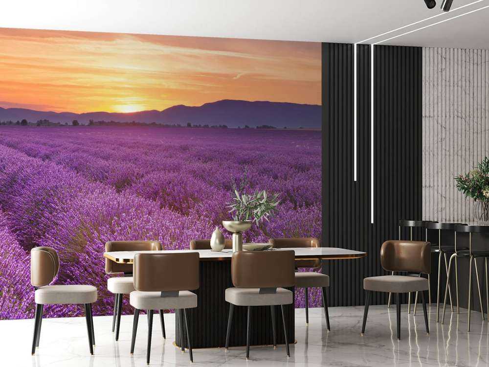 Feld voller Lavendel