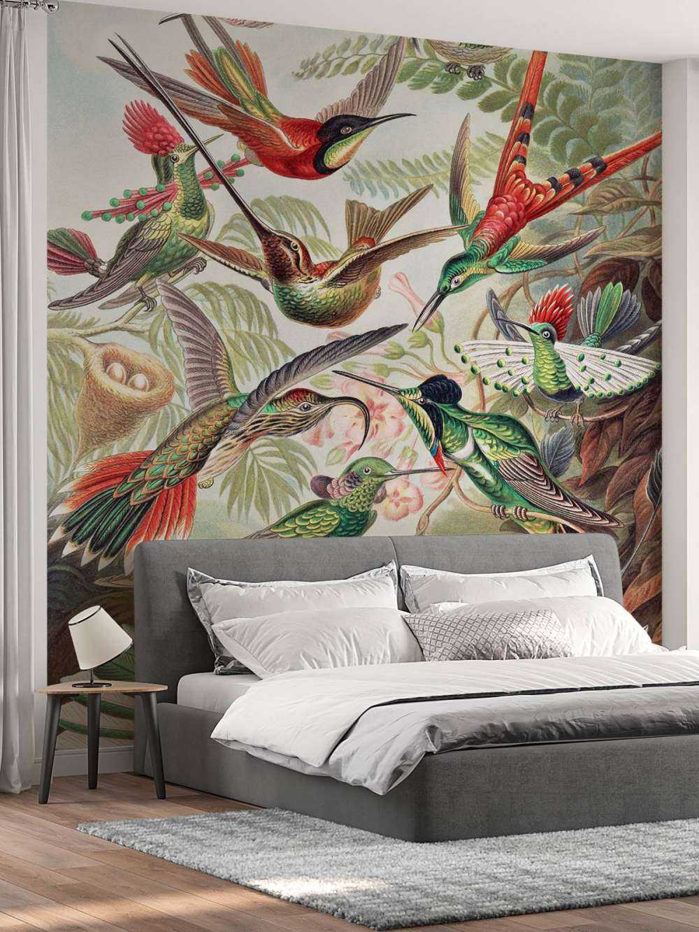 Hummingbirds