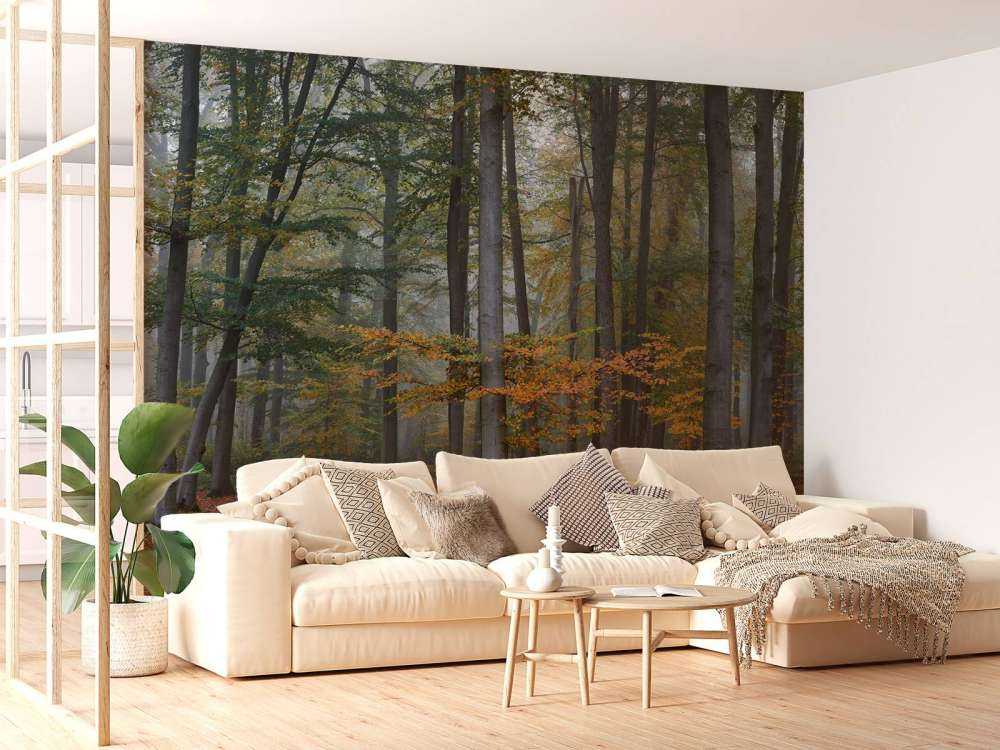 Herbstfarben im nebligen Wald