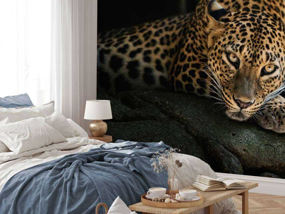 Panther im Wald