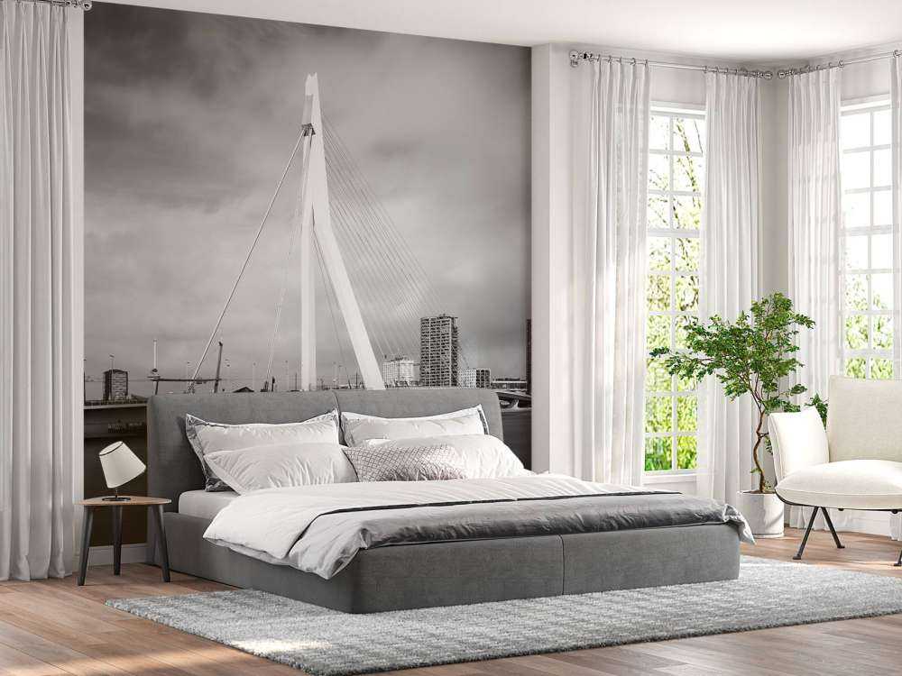 Erasmus Brücke Rotterdam
