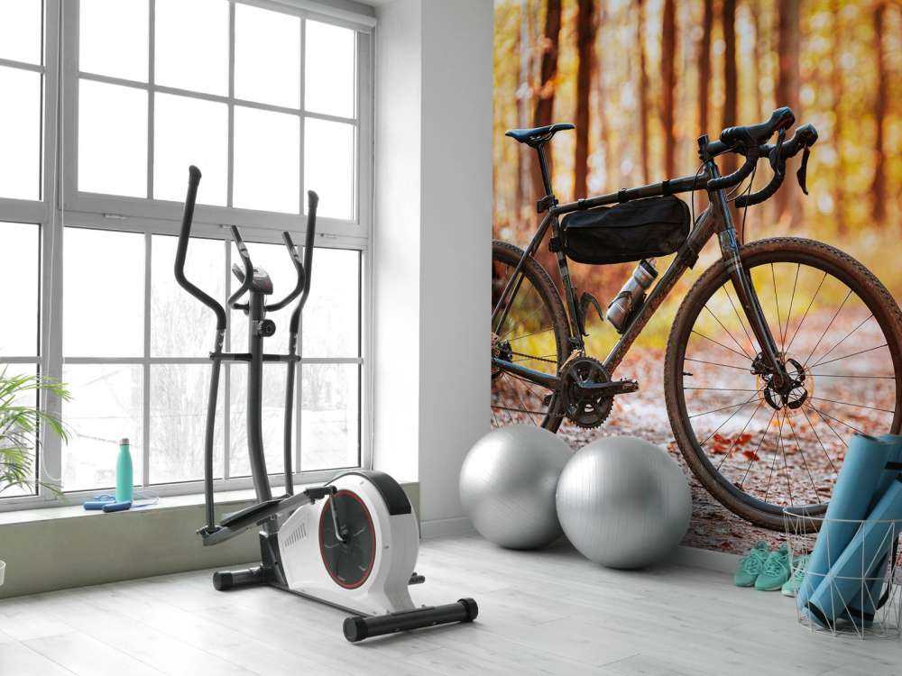 Fahrrad im Herbst