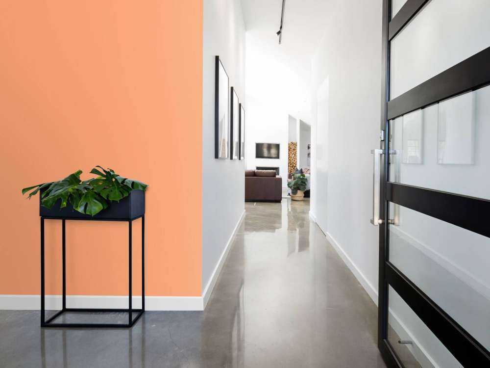 Rosa-orange