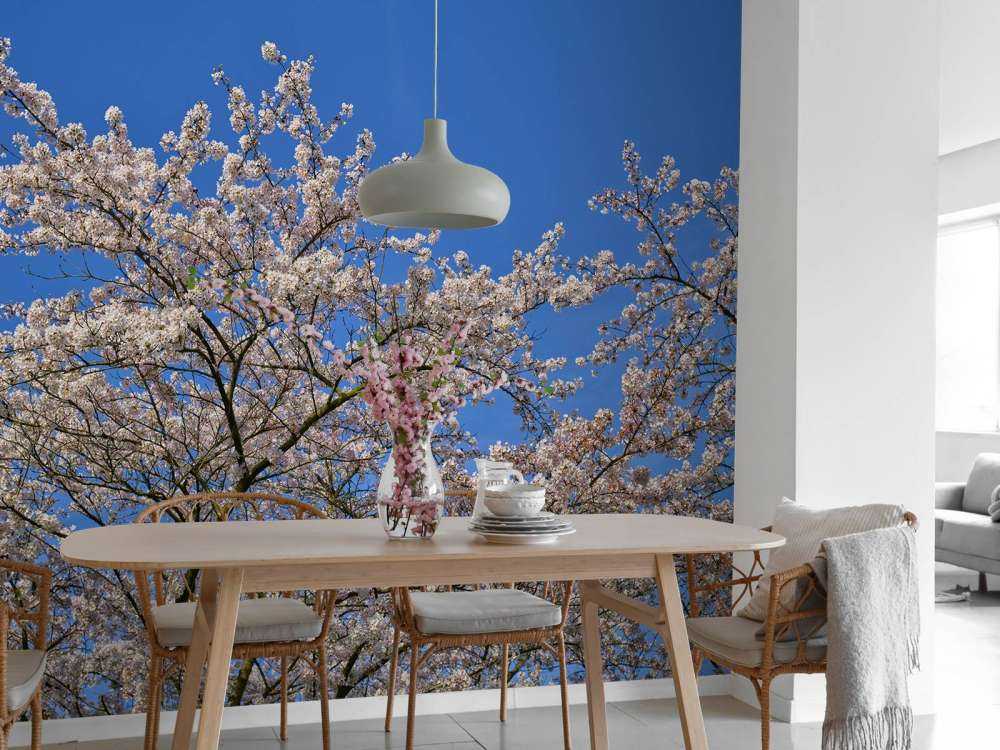 Blüte mit blauem Himmel