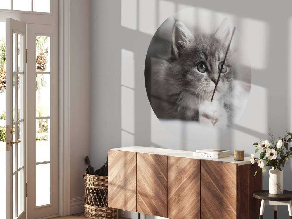 Spielende Katze