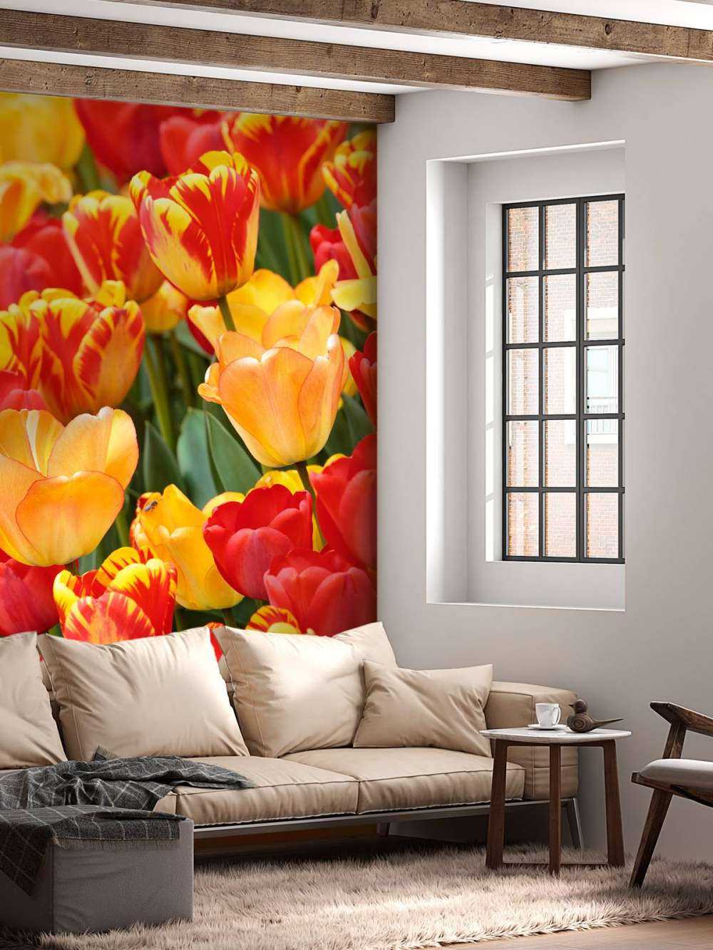 Farbige Tulpen