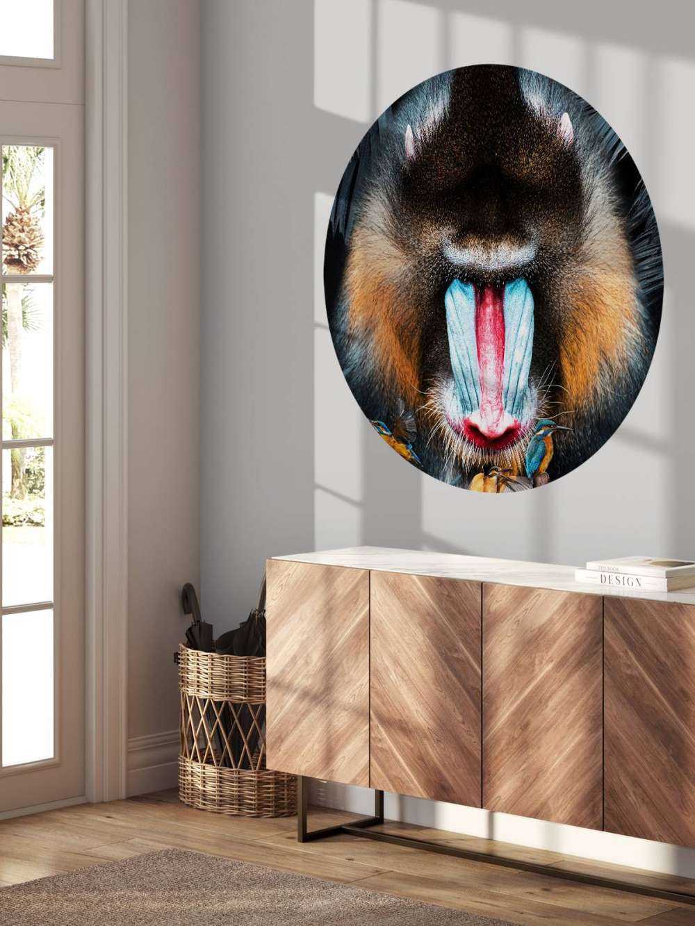 Mandrill Porträt