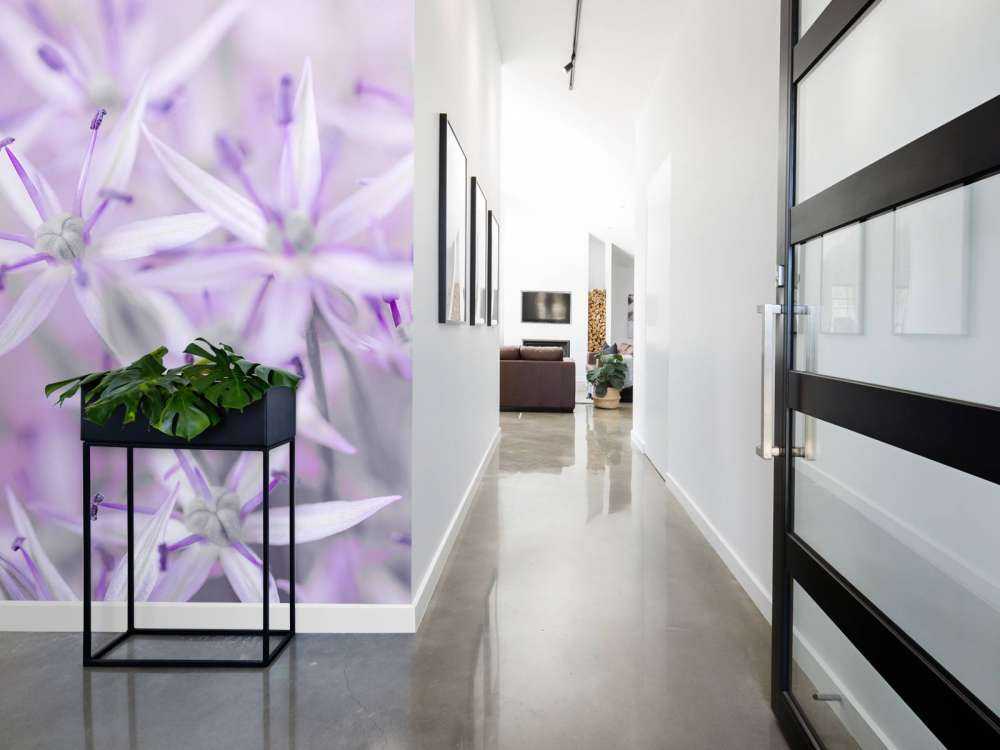 Nahaufnahme Allium-Blüten