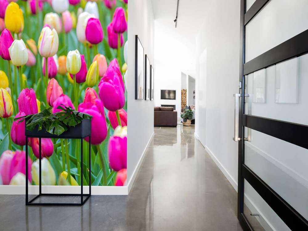 Bunte Tulpen auf einem Feld