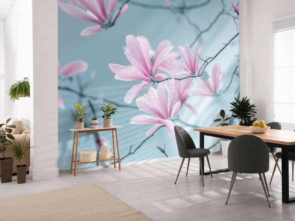 Magnolien Blumen