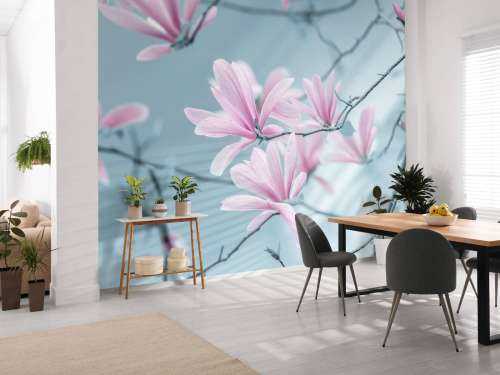 Magnolien Blumen
