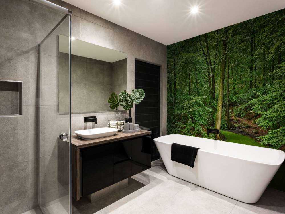 Bach mit Wasserlinsen im Wald