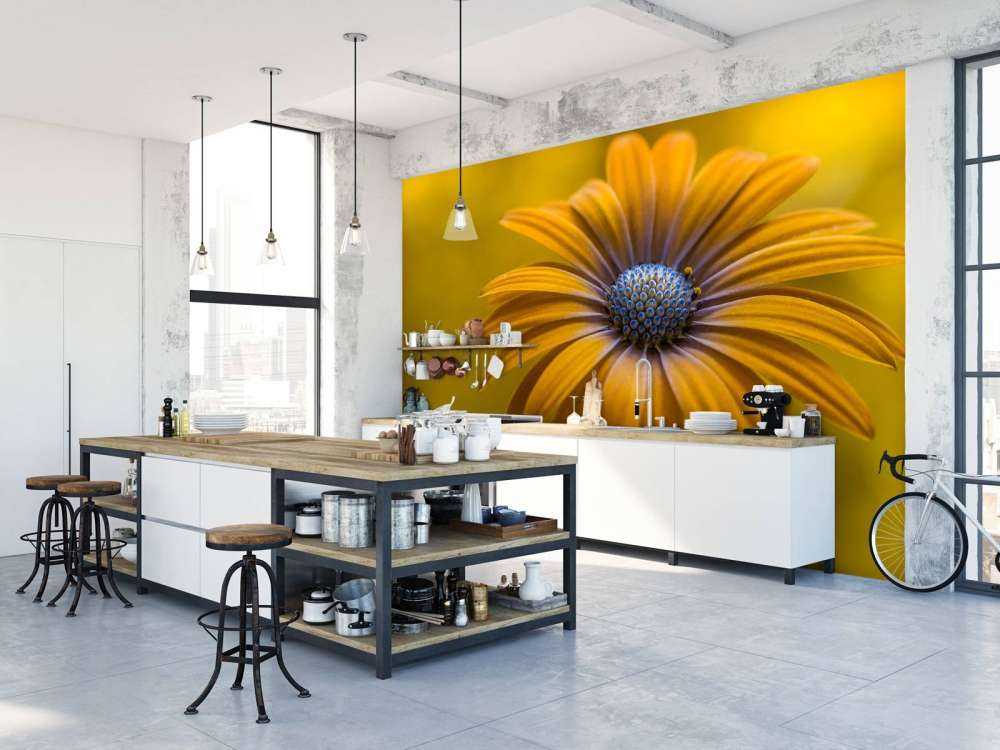 Sunshine Daisy