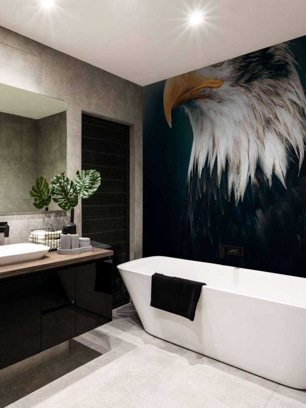 Nahaufnahme Seeadler