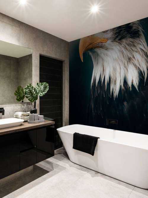 Nahaufnahme Seeadler