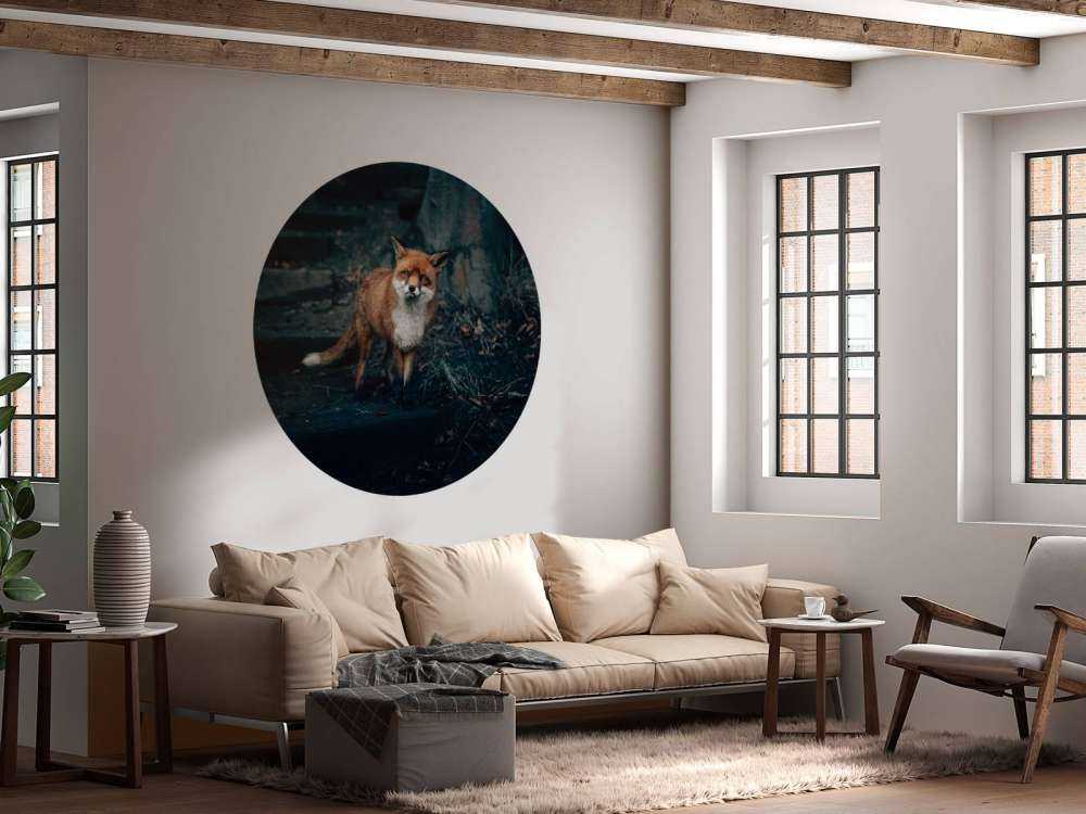 Neugieriger Fuchs