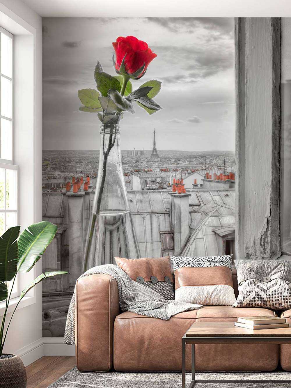 Rote Rose