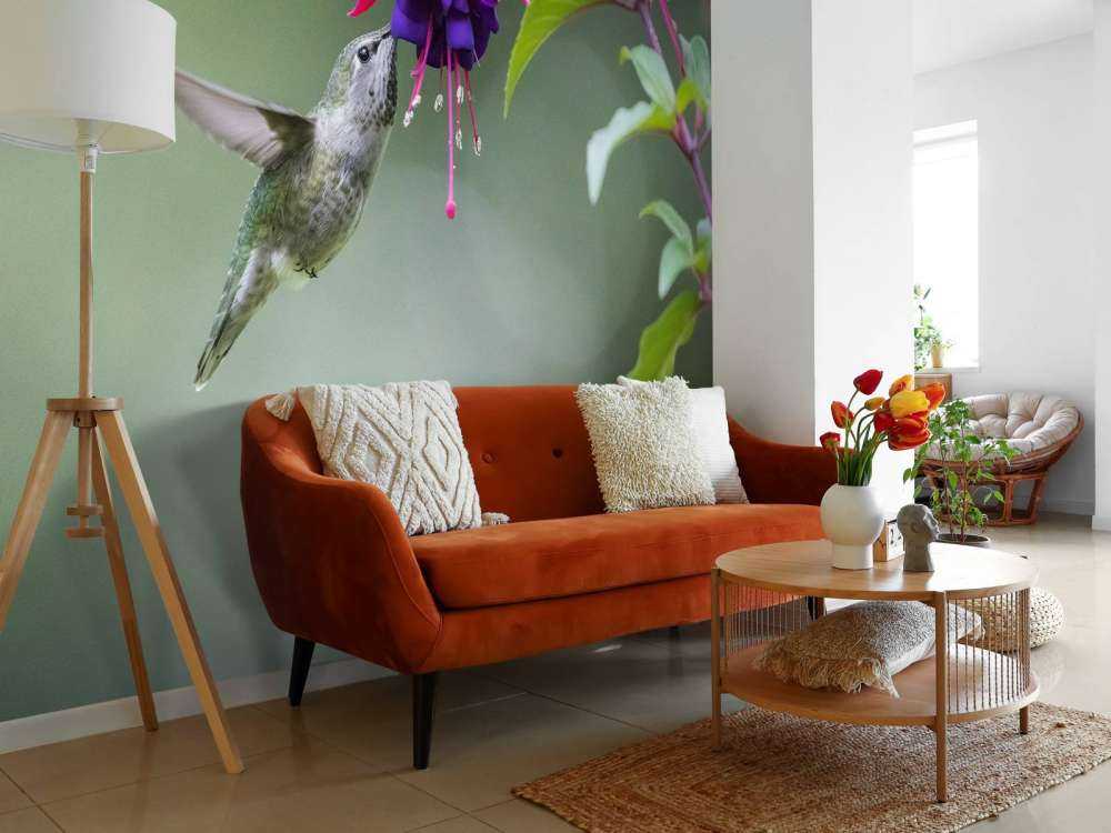 Kolibri trinken