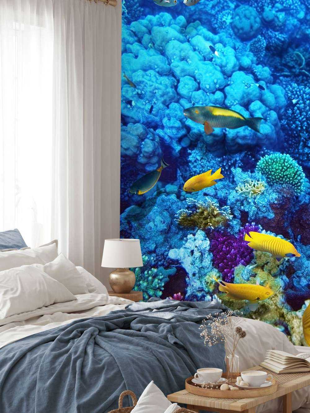 Fische und Korallen