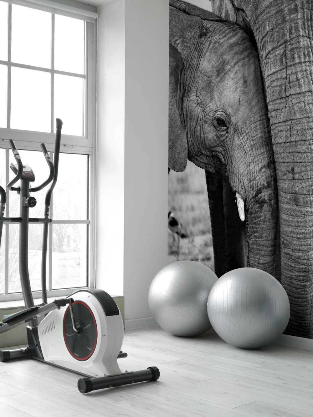 Kuschelnde Elefanten