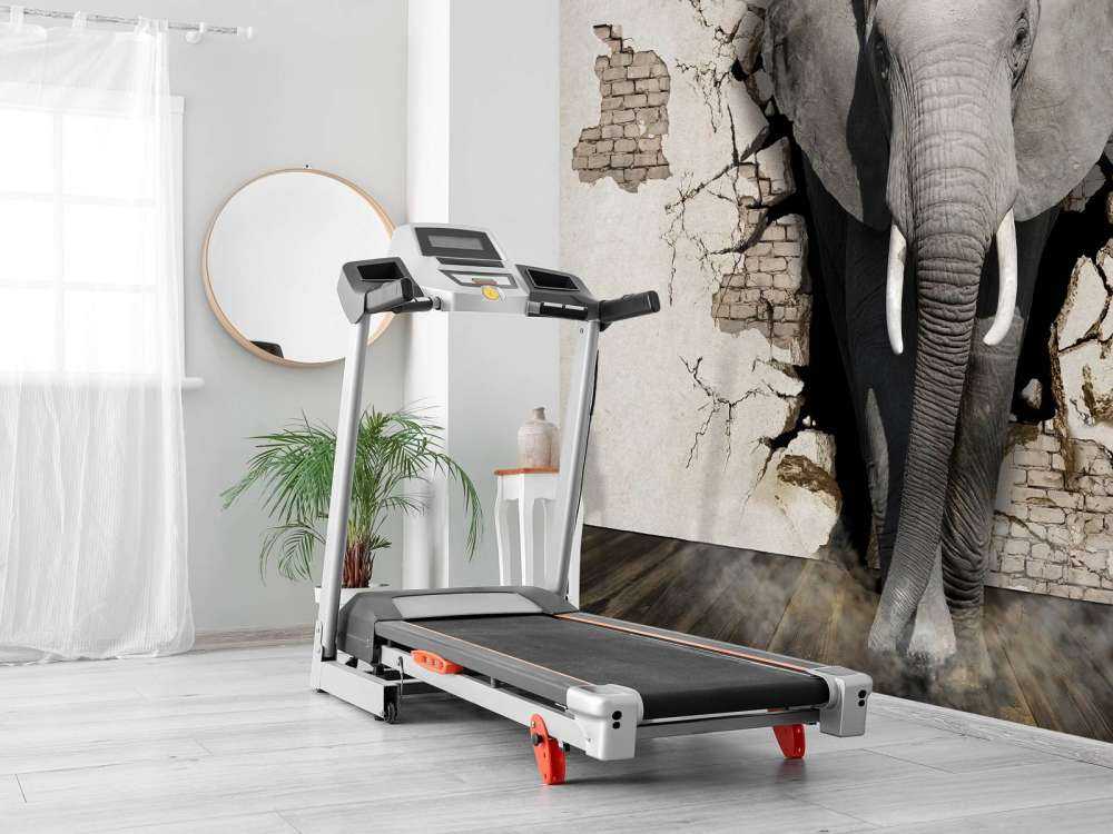 3D Elefant auf Fototapete