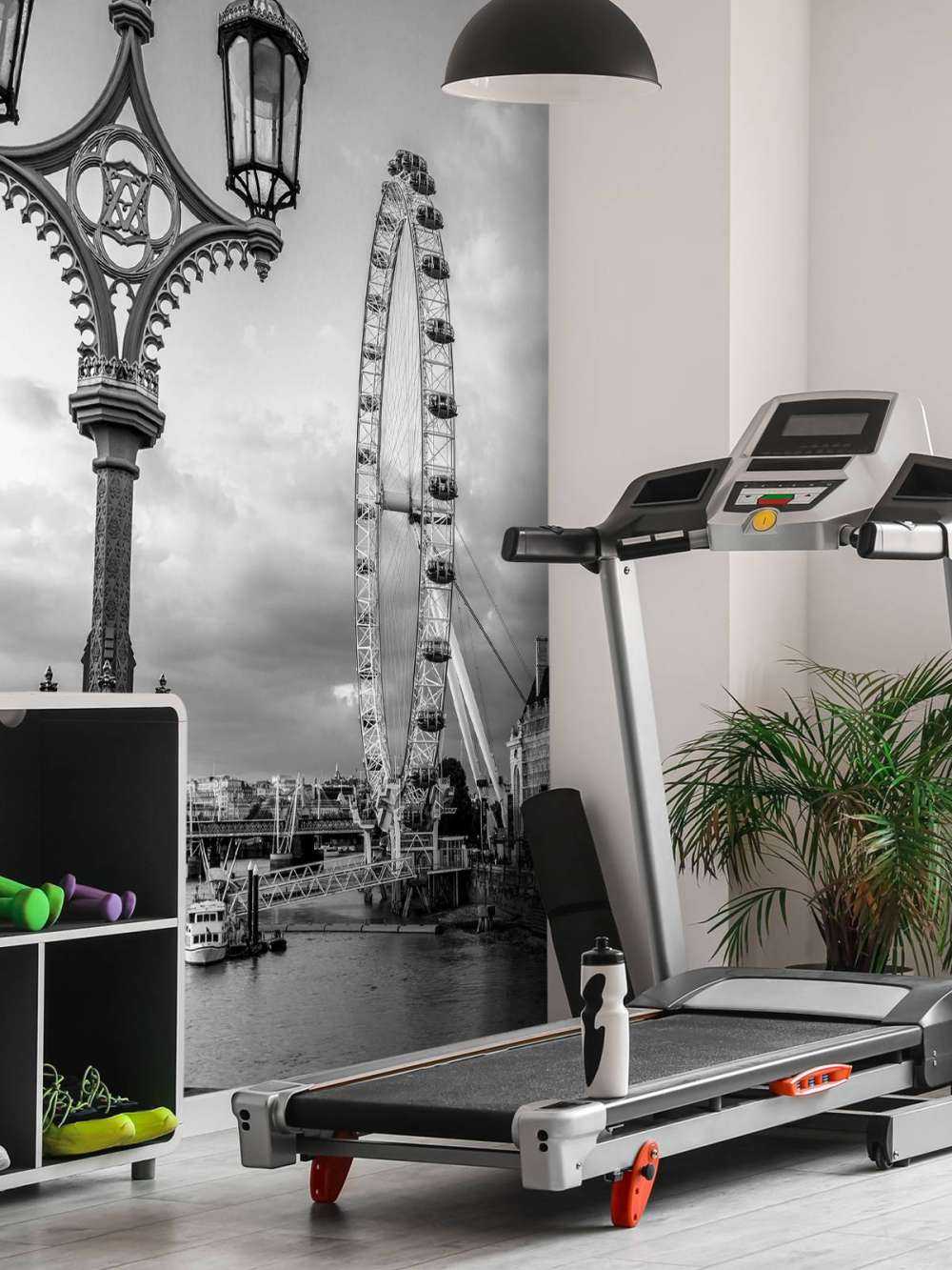 Street lamp with London Eye, London, UK