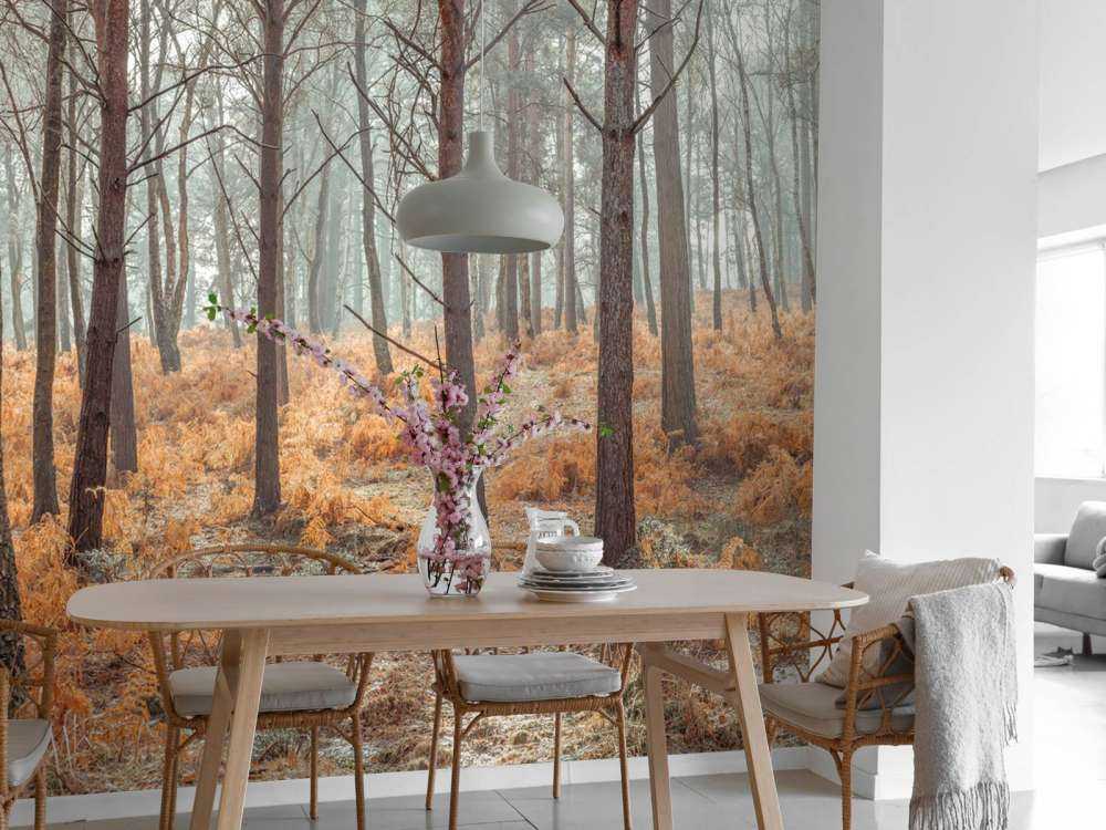 Wald im Herbst