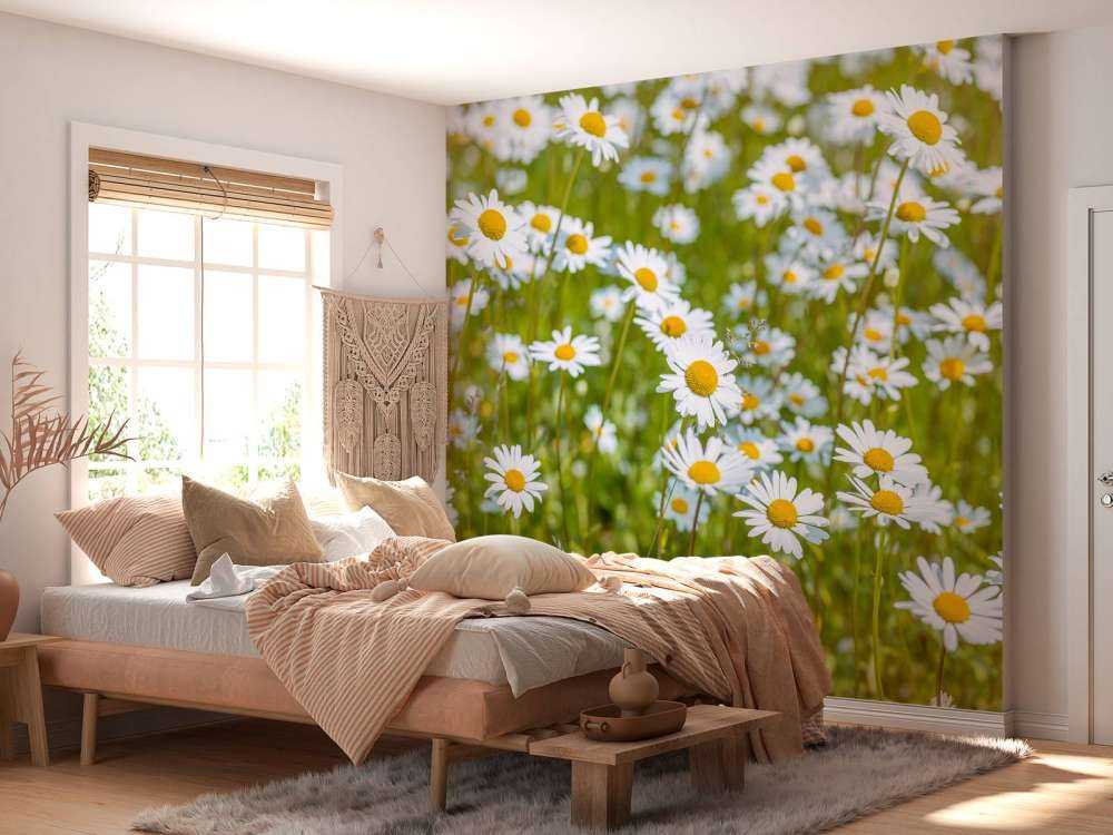 Gänseblümchen auf einem Feld