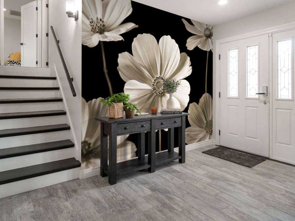 Mehrere Cosmos-Blüten