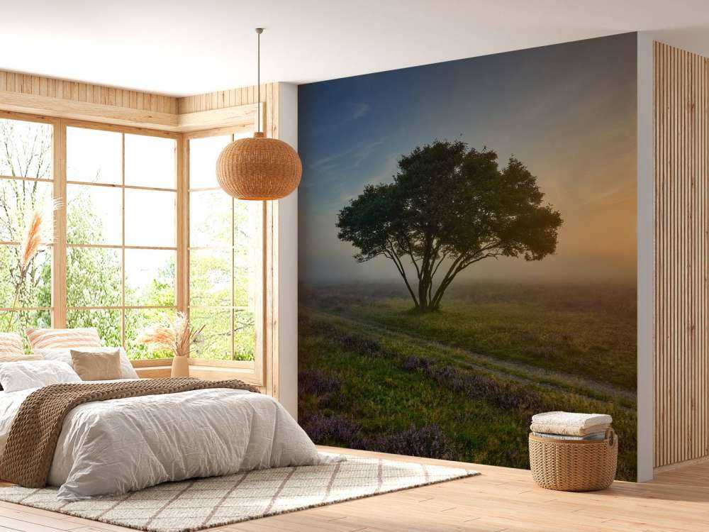 Sonnenaufgang in der Heidelandschaft