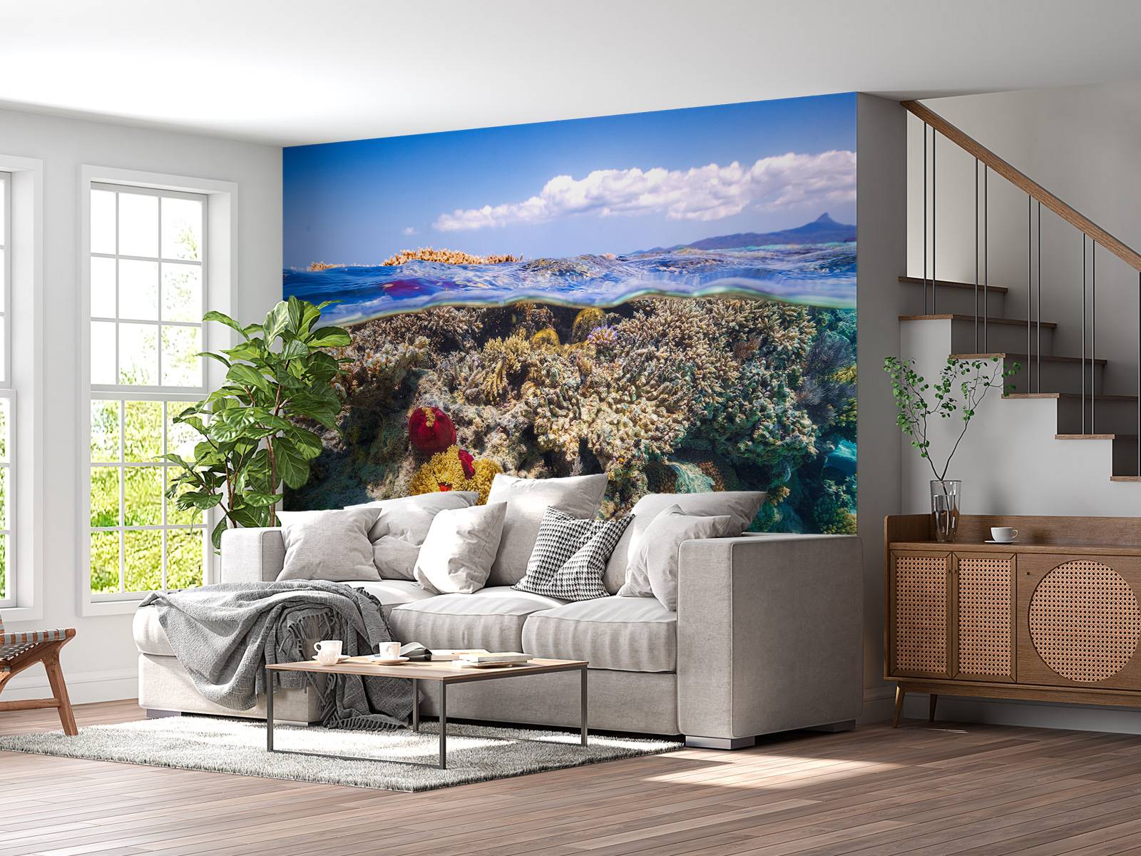 Mayotte : The Reef