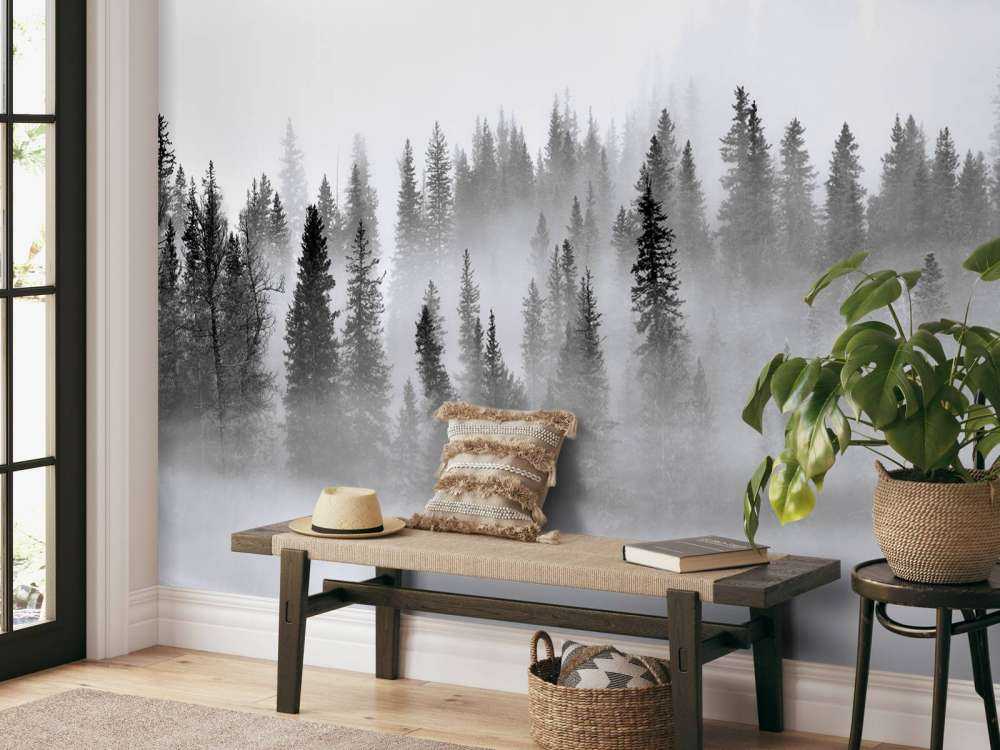 Foggy Forest - 1x