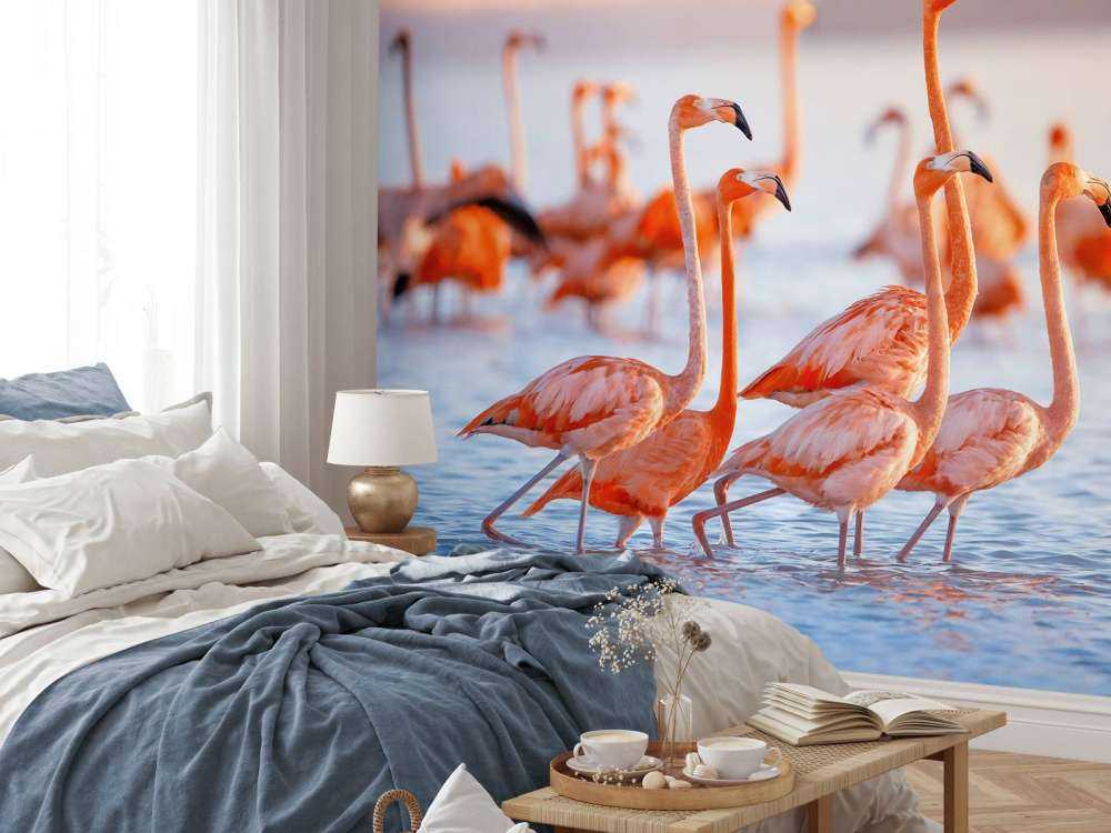 Glotzende Flamingos