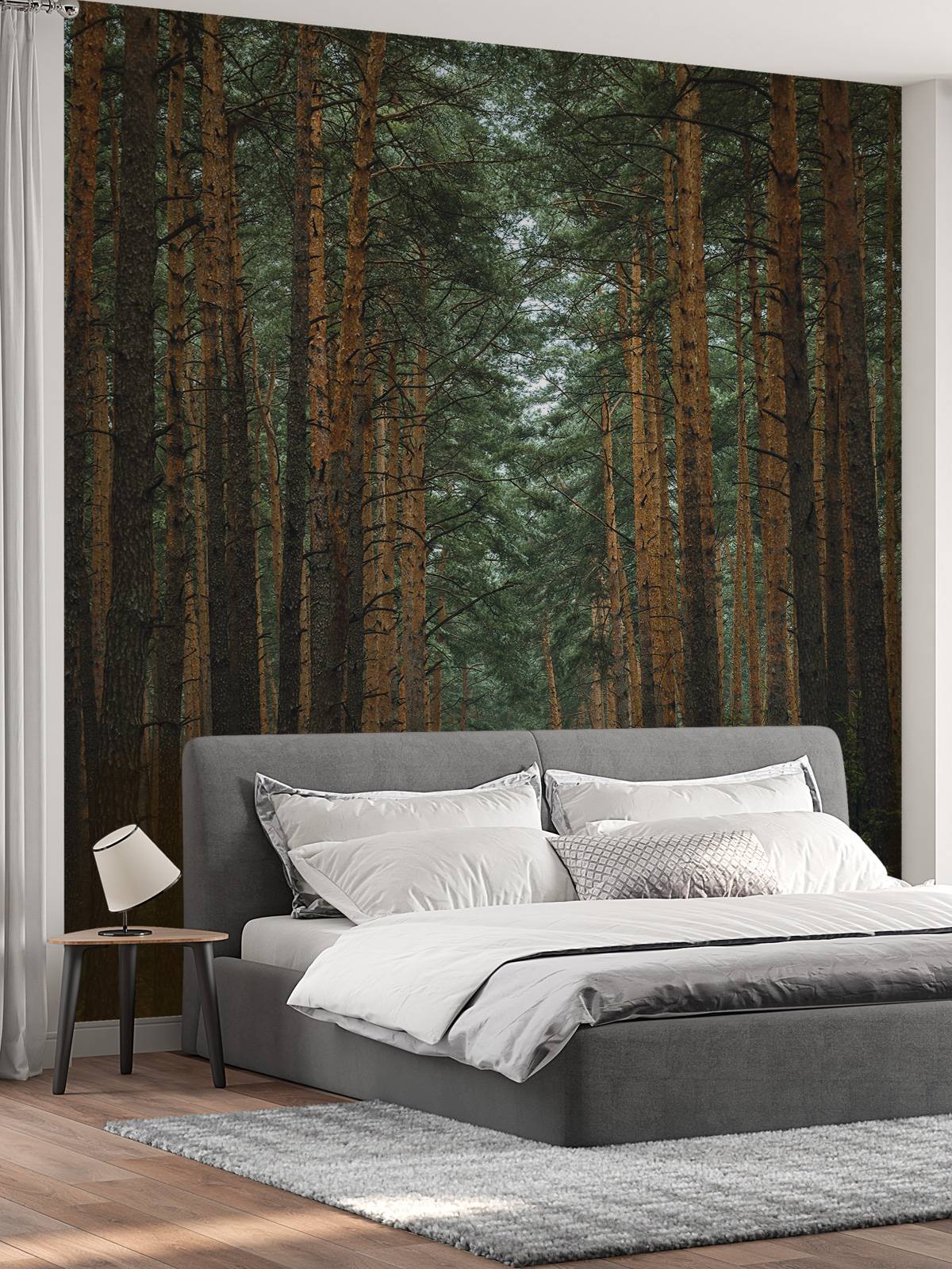 The Forest road 1