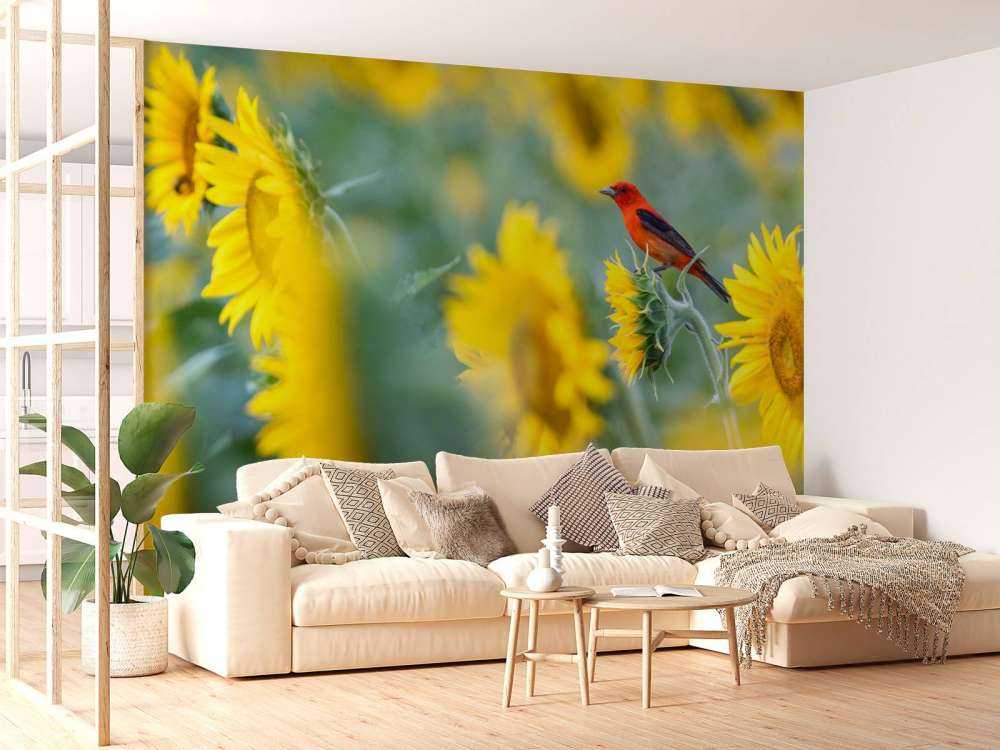 Sonnenblumenfeld mit rotem Vogel