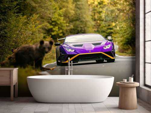 Lamborghini vs. Wildnis