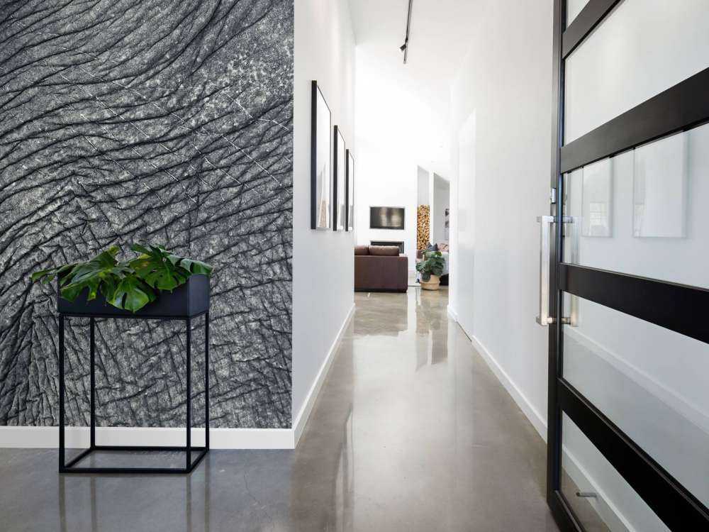 Nahaufnahme Elefantenhaut